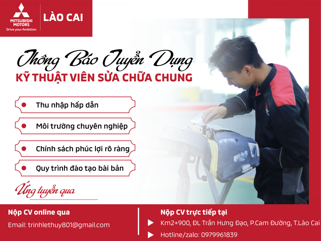 Bản tin tuyển dụng tháng 02.2026